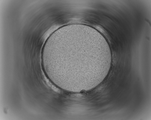 X0000102351431200808221644