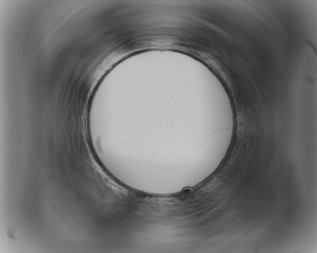 X0000102351432200808221644