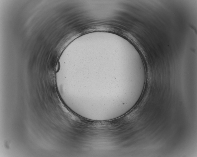 X0000102351433200808221644