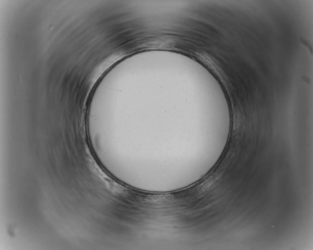 X0000102351434200808221644