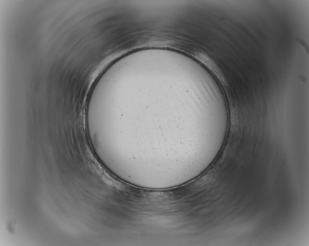 X0000102351436200808221644