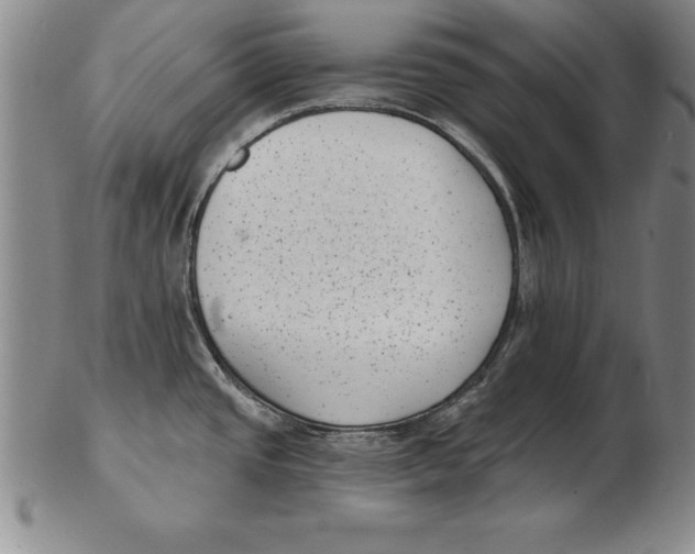 X0000102351437200808221644