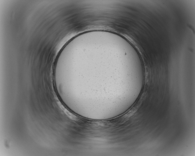 X0000102351438200808221644