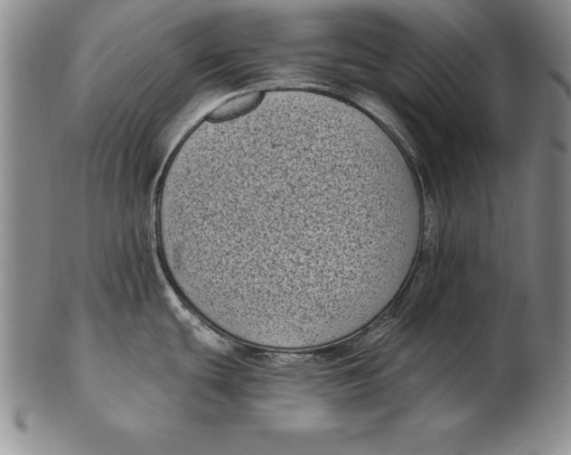 X0000102351439200808221644