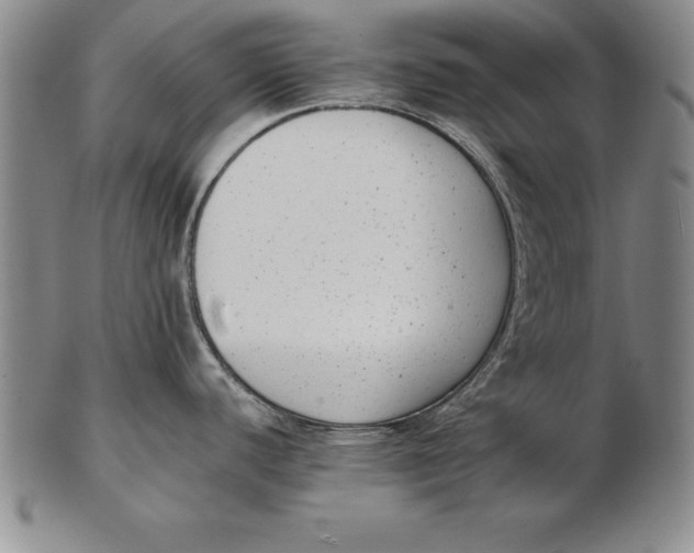 X0000102351440200808221644