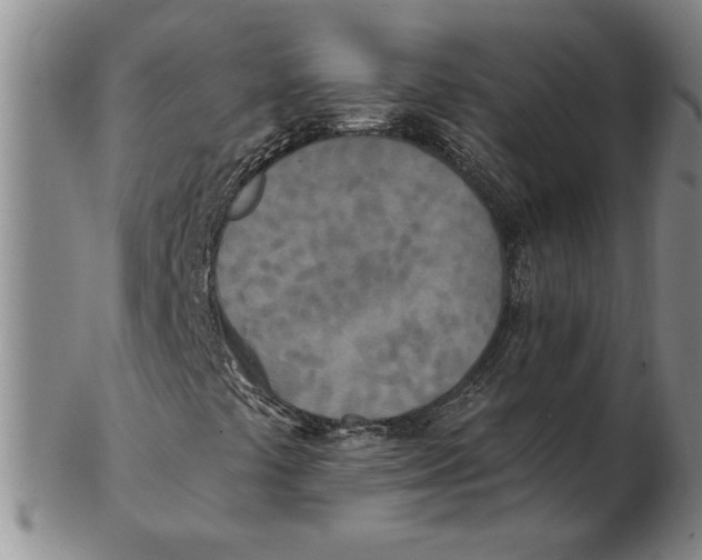 X0000102351441200808221643