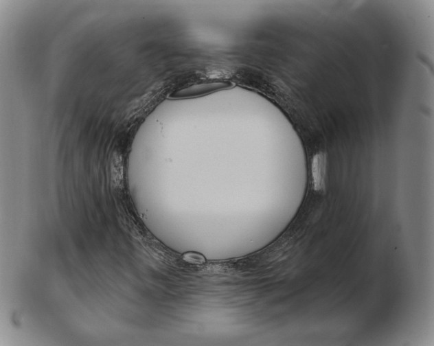 X0000102351443200808221643