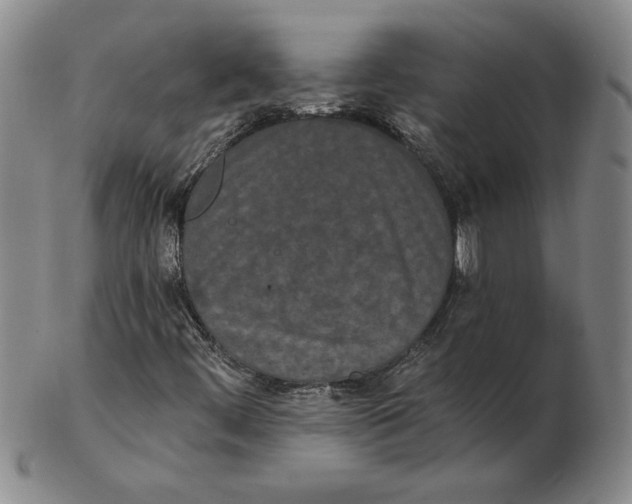 X0000102351444200808221643