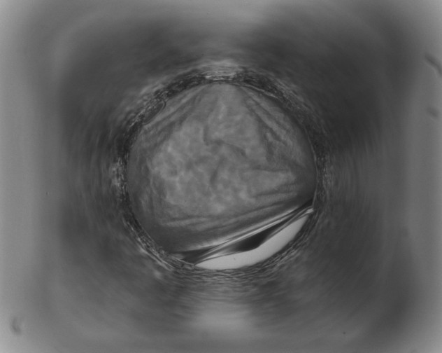 X0000102351445200808221643