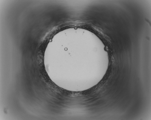 X0000102351447200808221643