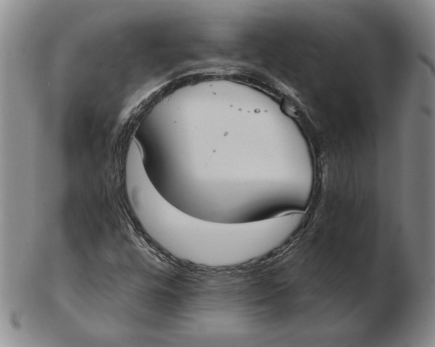 X0000102351448200808221643