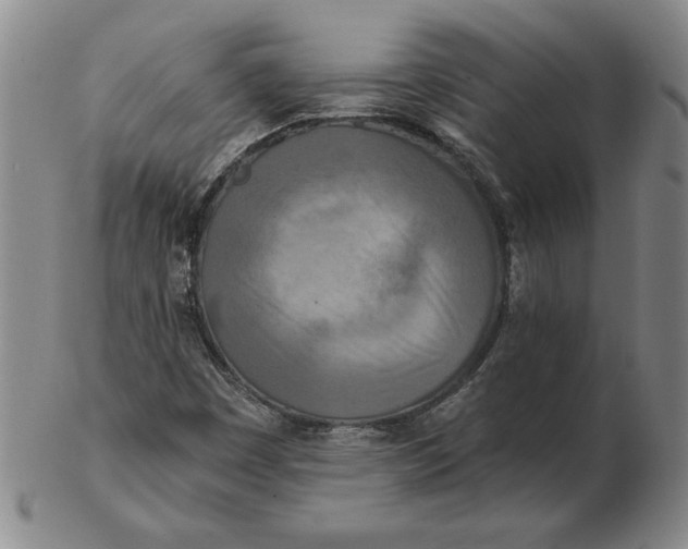 X0000102351449200808221643