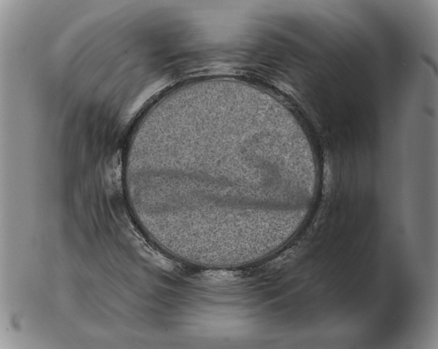 X0000102351450200808221643