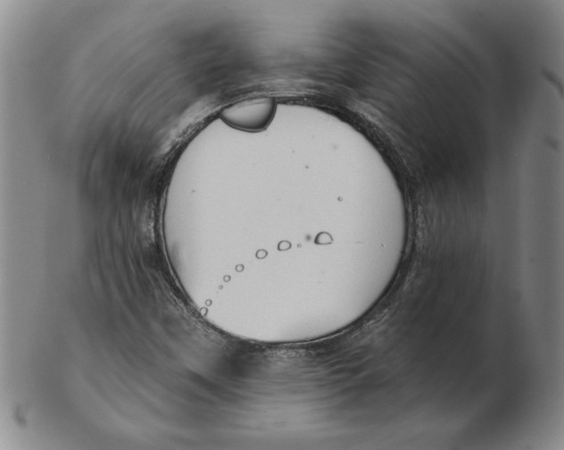 X0000102351451200808221643