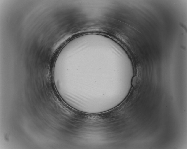 X0000102351452200808221643