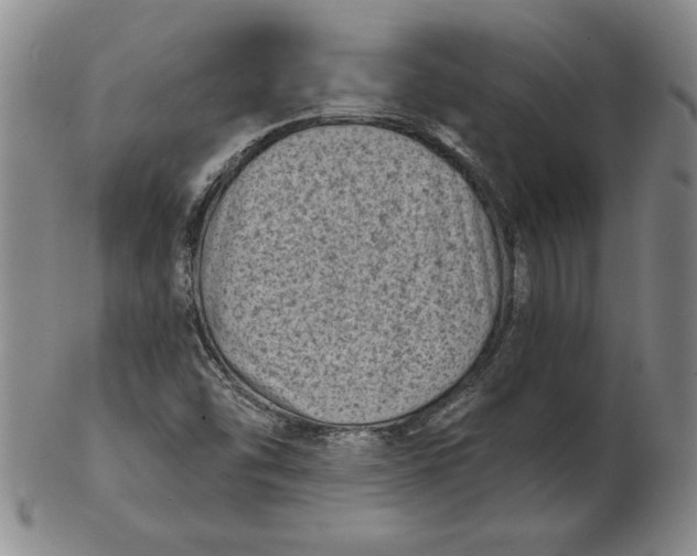 X0000102351454200808221643