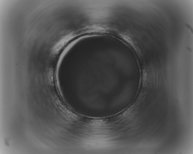 X0000102351455200808221643