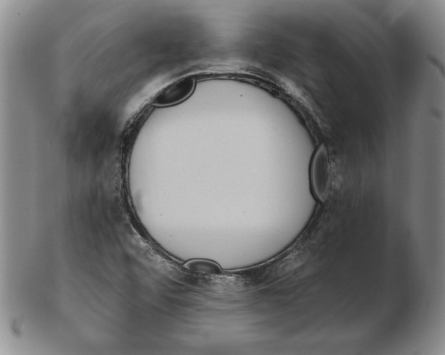 X0000102351456200808221643