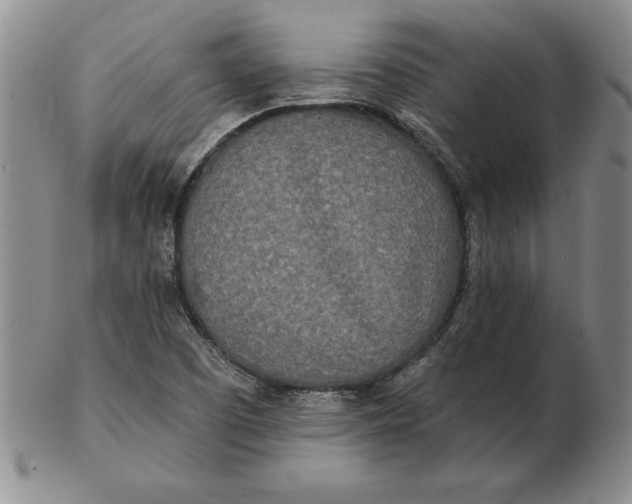 X0000102351457200808221643