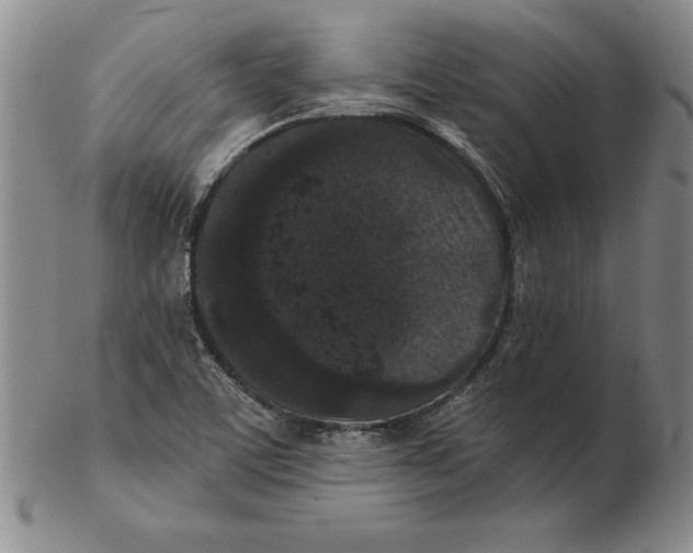 X0000102351459200808221643