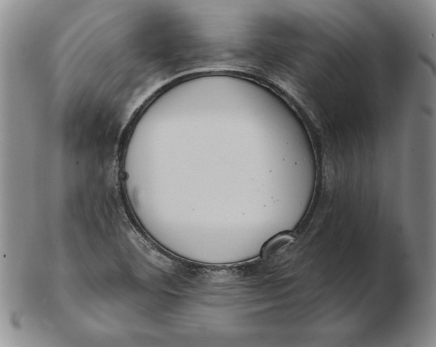 X0000102351460200808221643