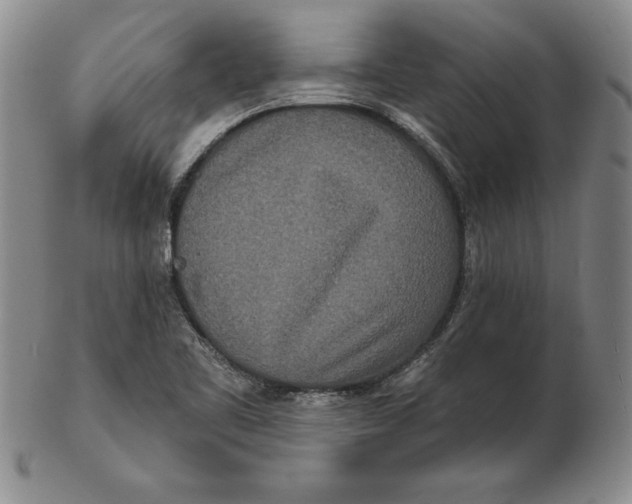 X0000102351461200808221643