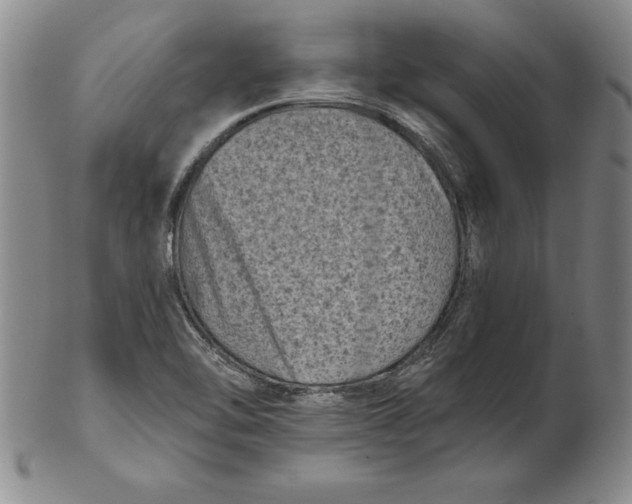 X0000102351462200808221643