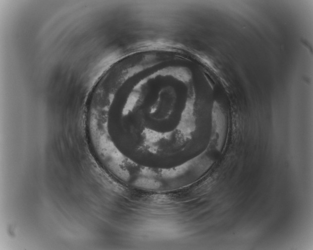 X0000102351463200808221643