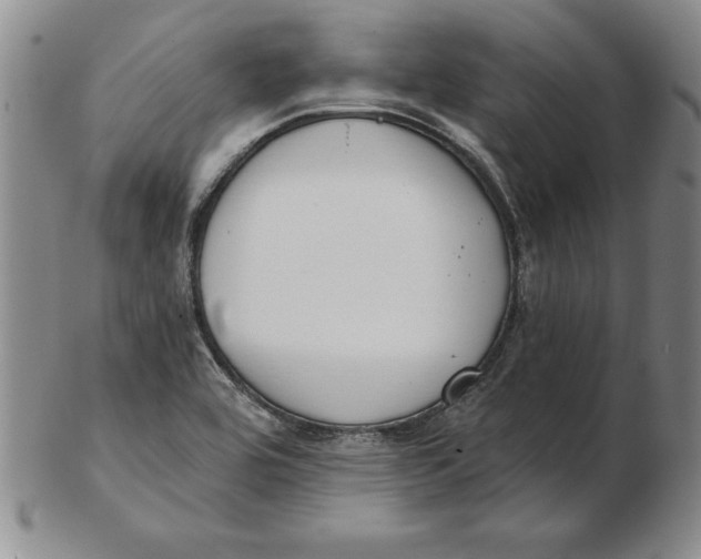 X0000102351464200808221643