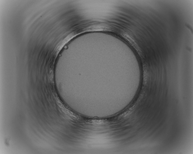 X0000102351465200808221642