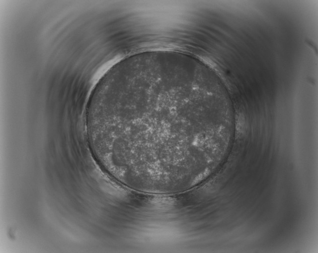 X0000102351466200808221642