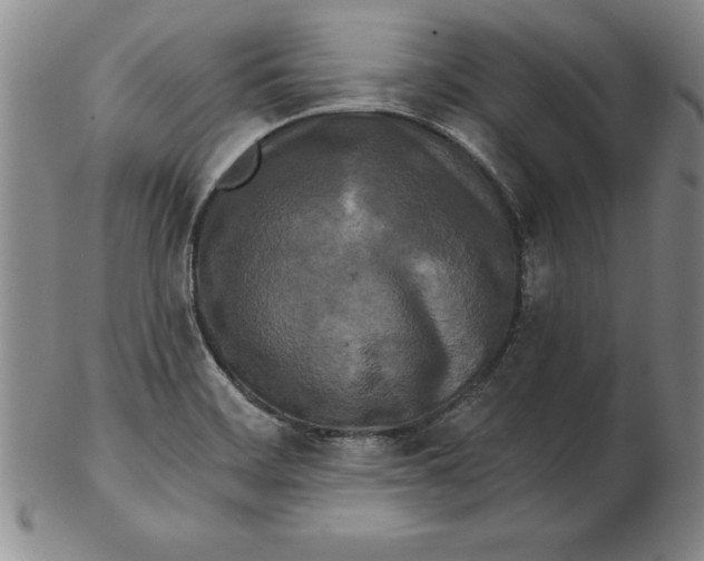 X0000102351468200808221642