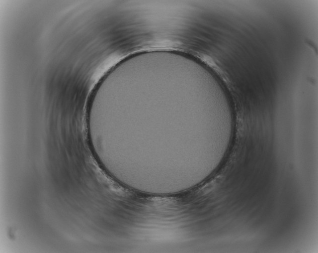 X0000102351469200808221642