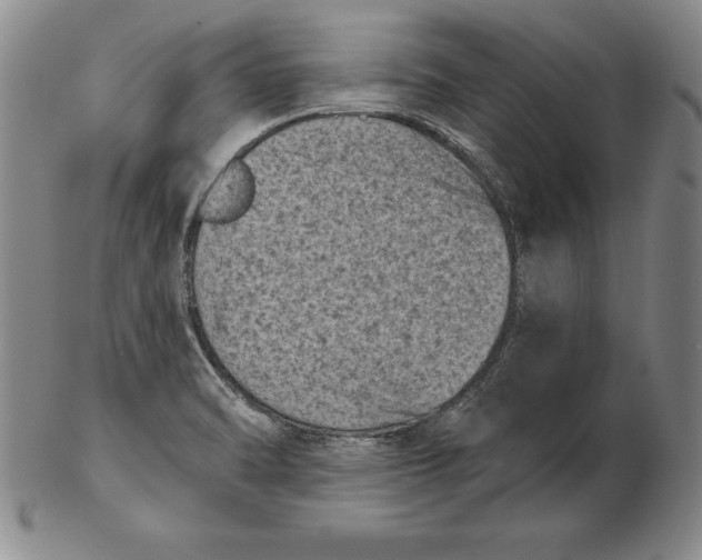 X0000102351470200808221642