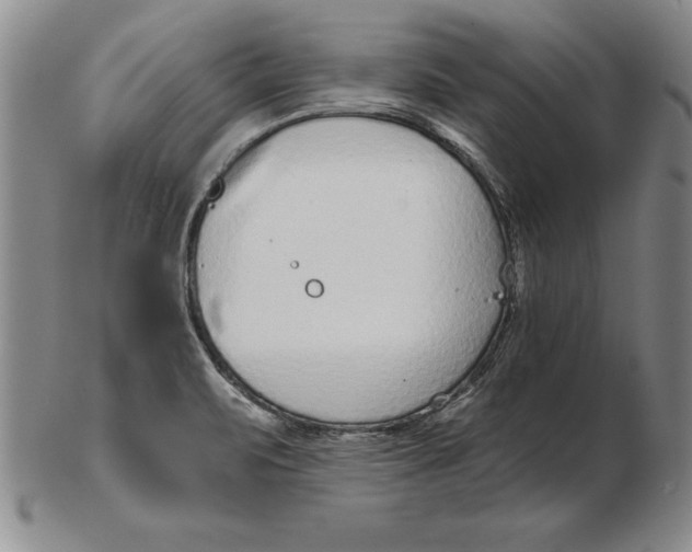 X0000102351471200808221642