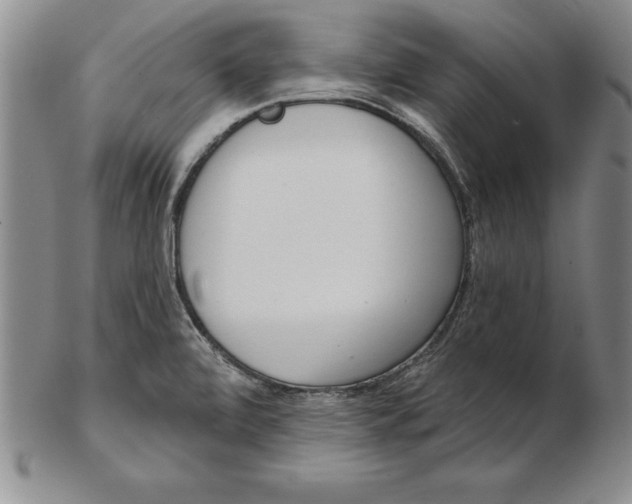 X0000102351472200808221642