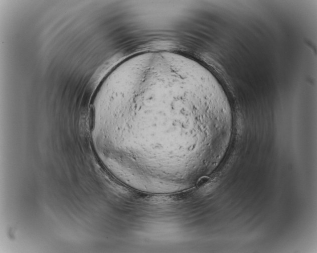 X0000102351473200808221642