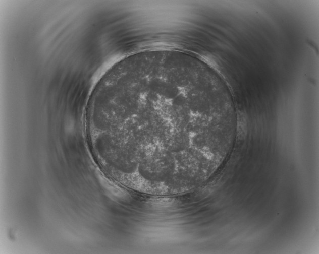 X0000102351474200808221642