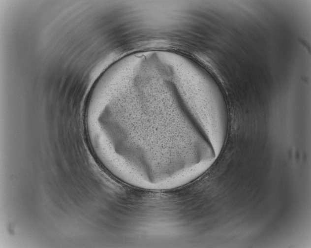 X0000102351475200808221642