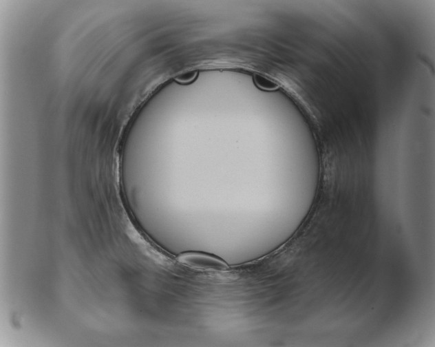 X0000102351476200808221642