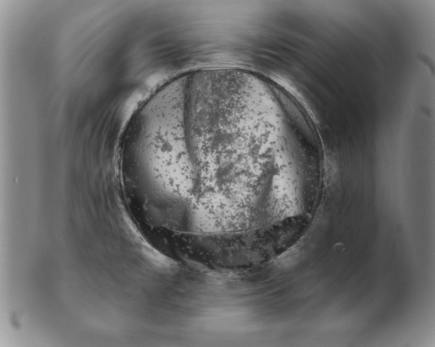 X0000102351477200808221642