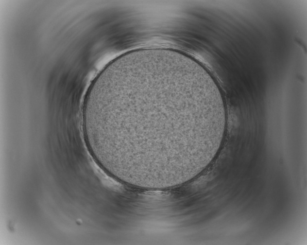 X0000102351478200808221642