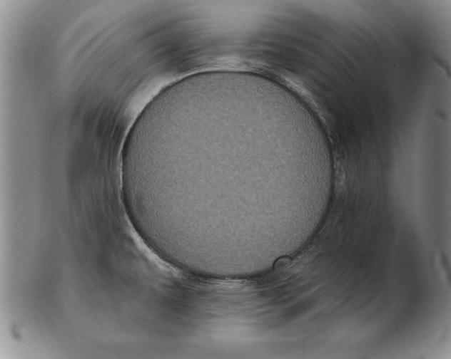 X0000102351479200808221642