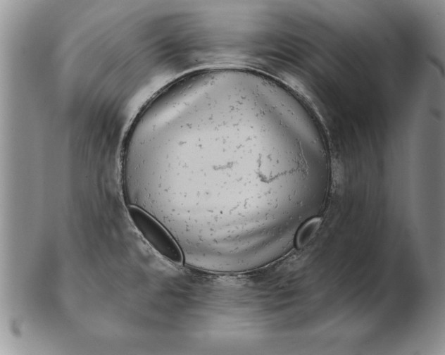 X0000102351480200808221642