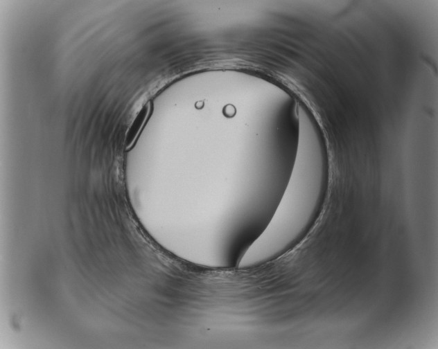 X0000102351481200808221642