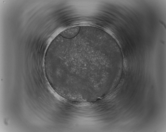 X0000102351482200808221642