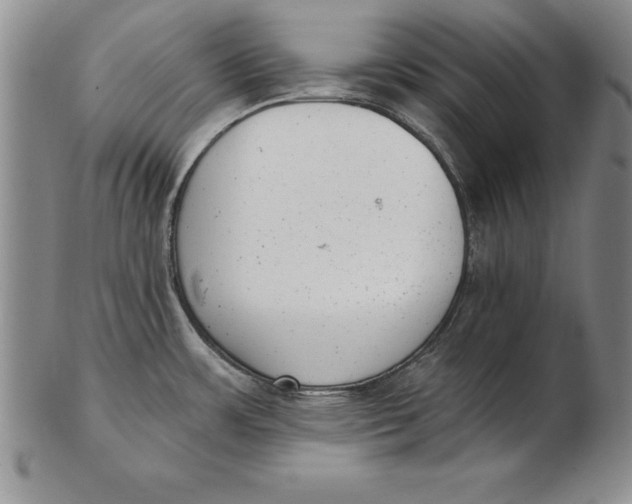 X0000102351483200808221642