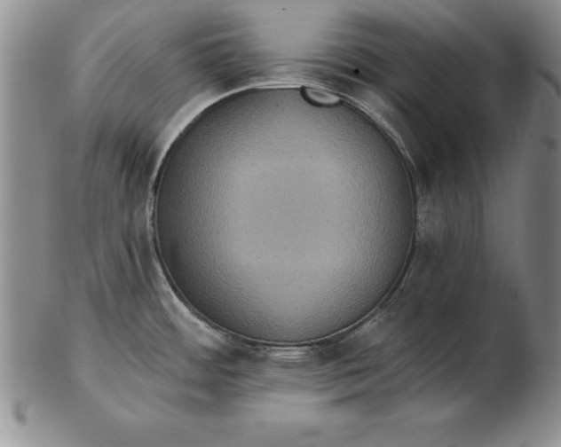 X0000102351484200808221642