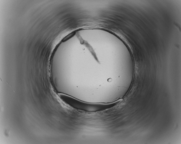 X0000102351485200808221642