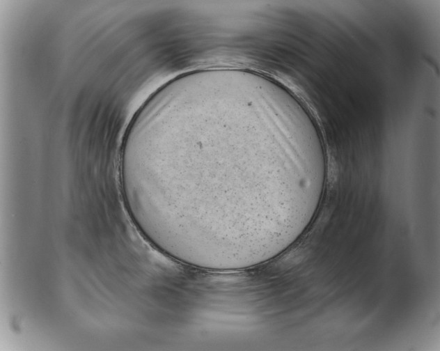 X0000102351486200808221642